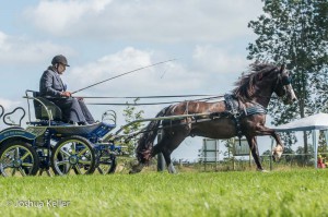 dressuur en vaardigheid  nienoord 10-8-2015  joshua keller-0072      